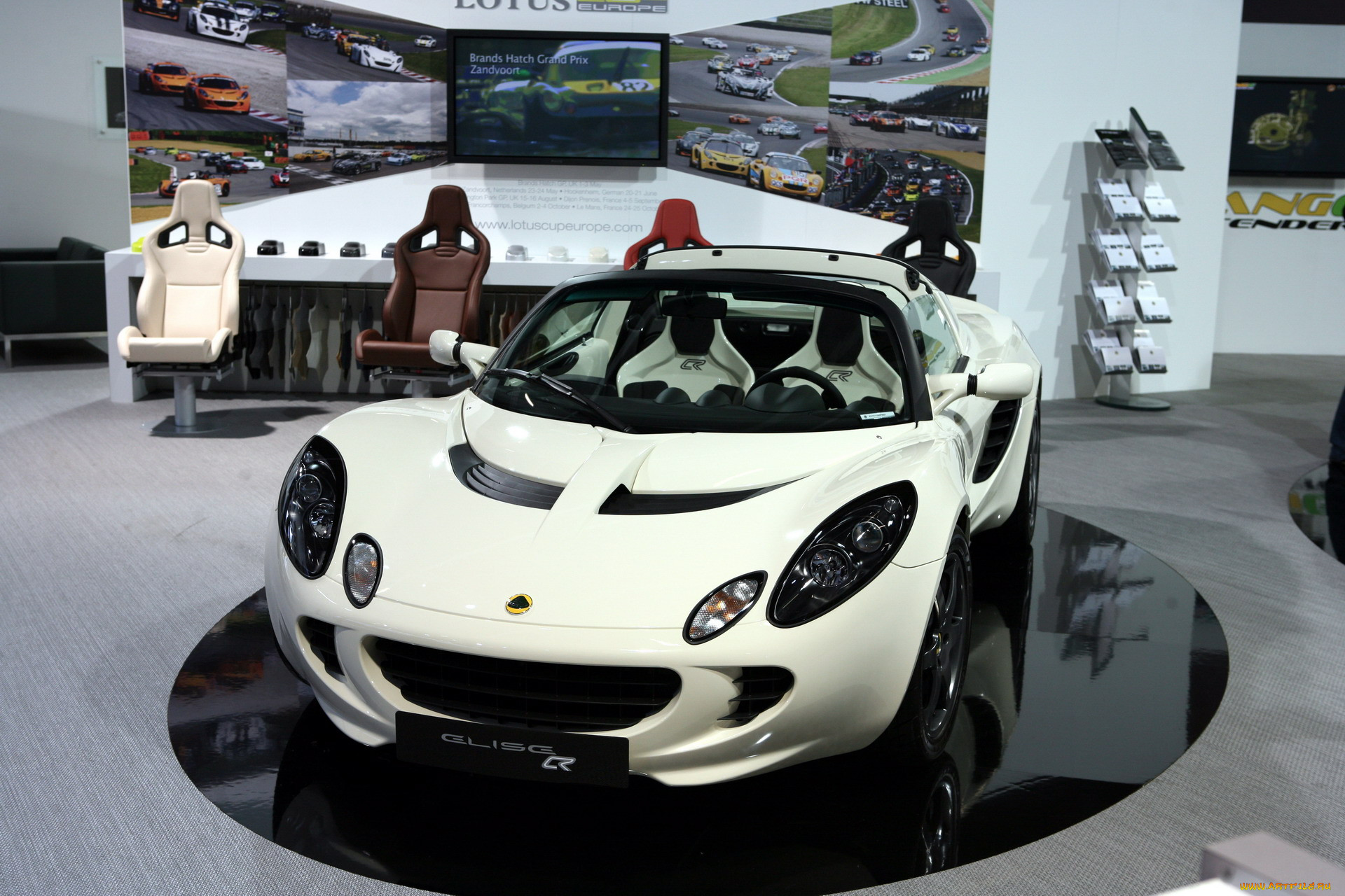 ,    , lotus